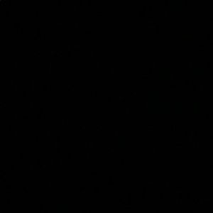 Meet your Posher, Maddie